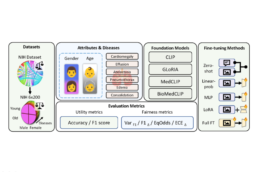 ISBI 2025 Paper